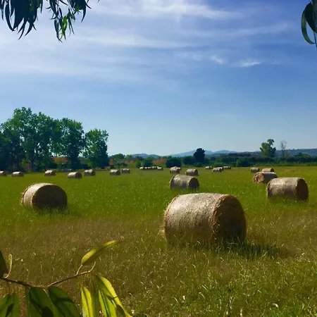 Village Amica