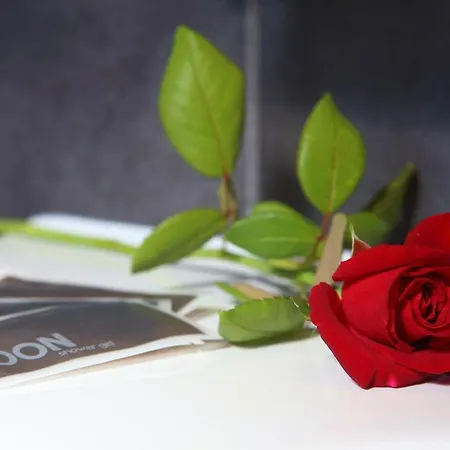 Village 호텔 로사노